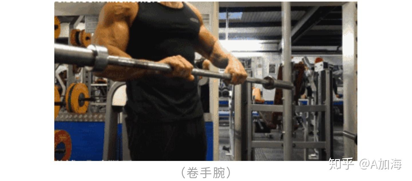 二头弯举小臂酸痛,80%训练者忽略的问题 - 知乎