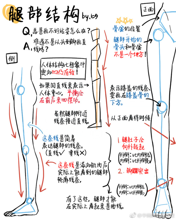 新手推荐 怎么画人体手部 知乎