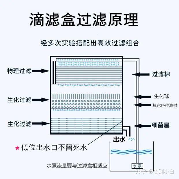如何养鱼 - 知乎