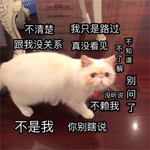 被「永久 19 元」骗了之后,我做了一件很程序员的事