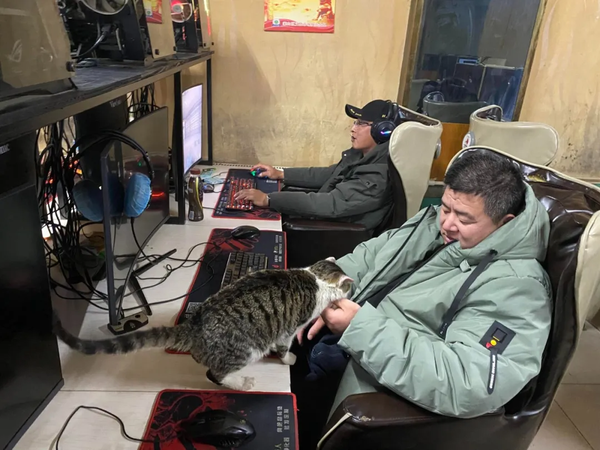 如何评价b站up主马小跳生活记持续记录网吧大神的生活