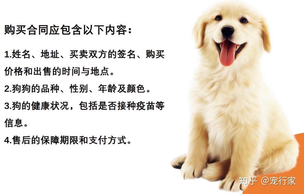 去哪买狗便宜又安全