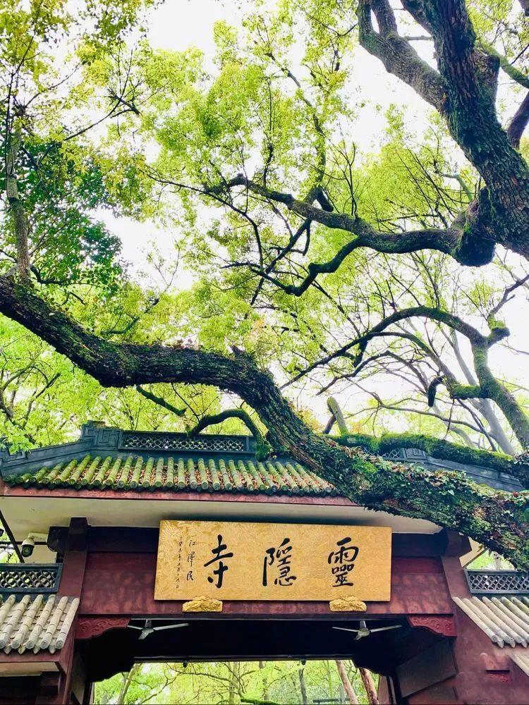 南海佛学院招聘硕士免住宿费每月发生活补助优异者安排佛学高校kpi