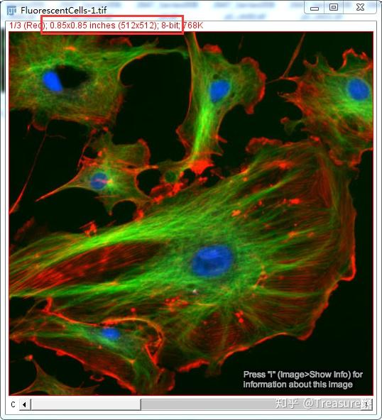 ImageJ实用技巧——重新认识你的图像(基本功能篇) ImageJ实用技巧——重新认识你的图像(基本功能篇)