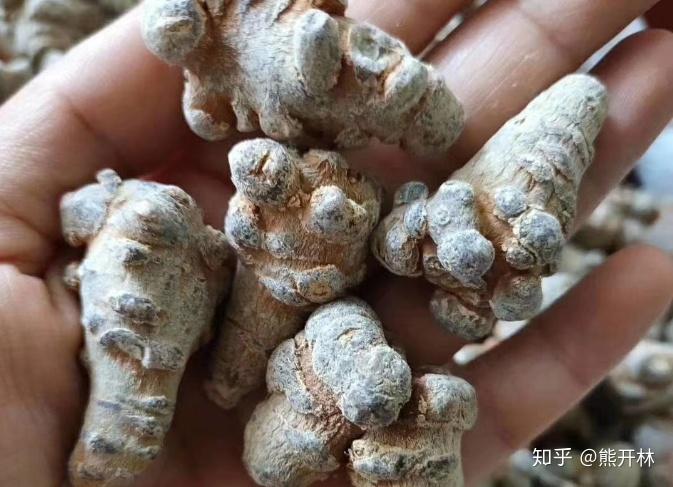 购买三七时带剪口好还是不带剪口好?