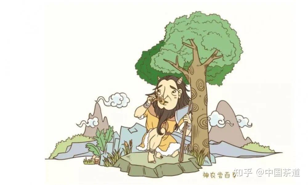 这里是中国古代河姆渡文化的一个重要遗迹,这次人工种植茶树遗迹的