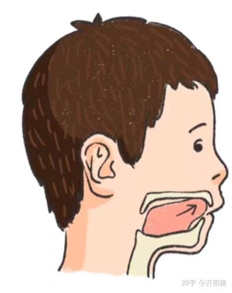 儿牙健康 | 如何纠正儿童不良吐舌习惯? - 知乎