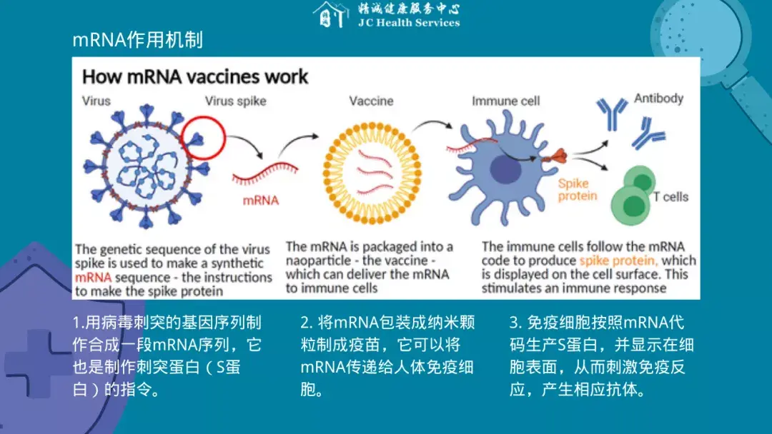 疫苗到底可不可以混打?我们把最近的相关报告都翻了一遍