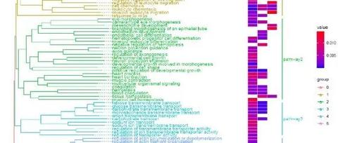 多组差异基因富集分析结果聚类 | 获得共表达term的富集图 - 知乎