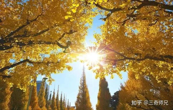 今年下元节很不一般,下午少出门!