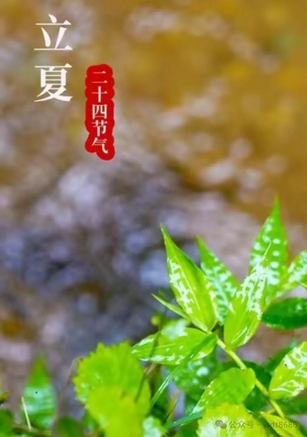 今年立夏不一般,恰逢三月廿七,老话“热不热,就看三月廿七” - 知乎