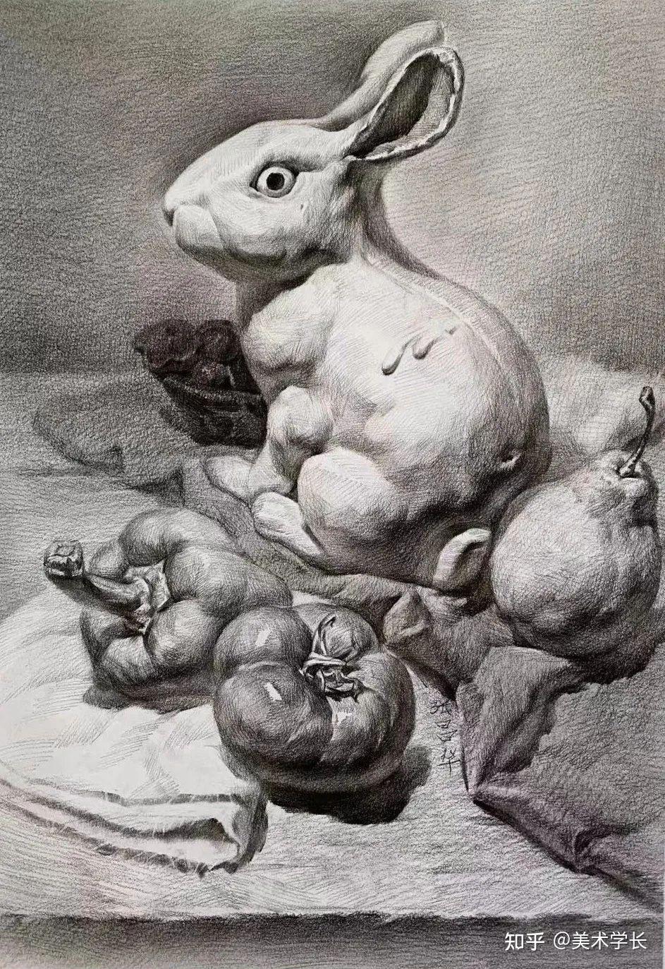 如何画好素描静物,高分从黑白灰开始 - 知乎
