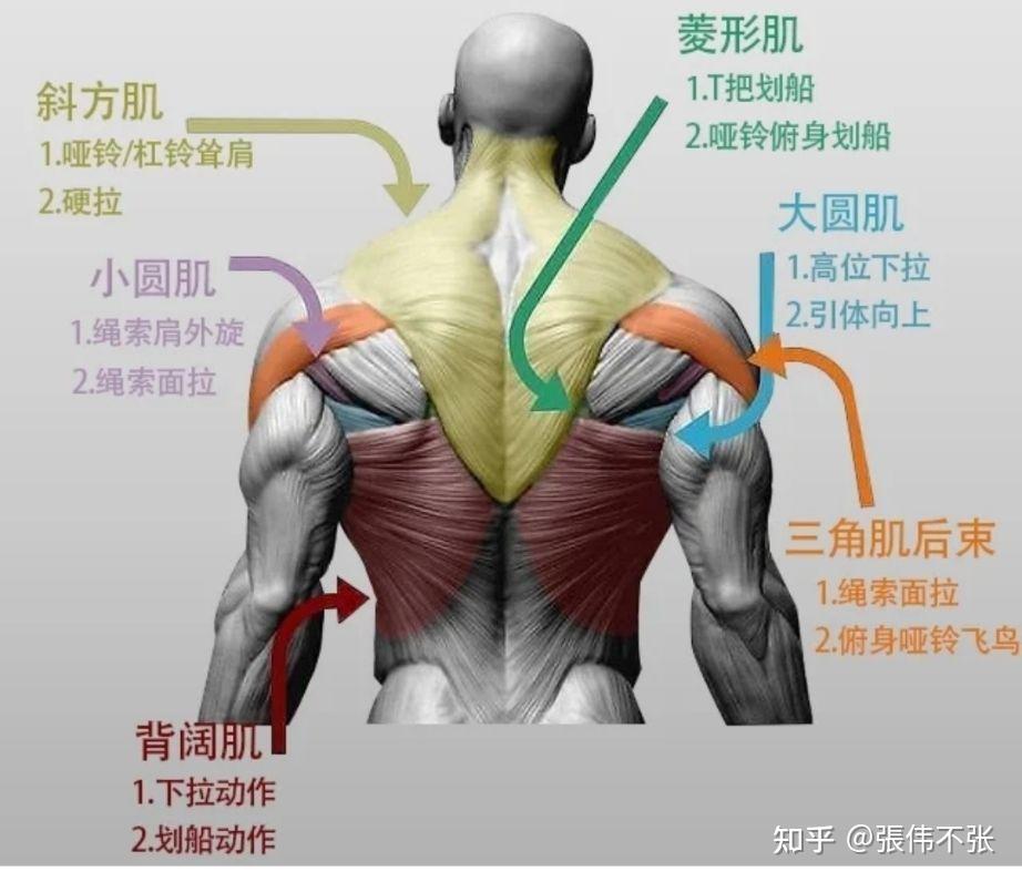 健身如何正确的