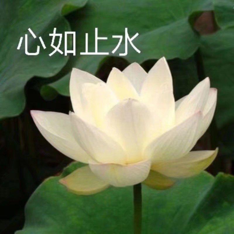 2 2 21年广东专插本复习攻略 公共英语篇 知乎 2 2 21年广东专插本复习攻略 公共英语篇 知乎