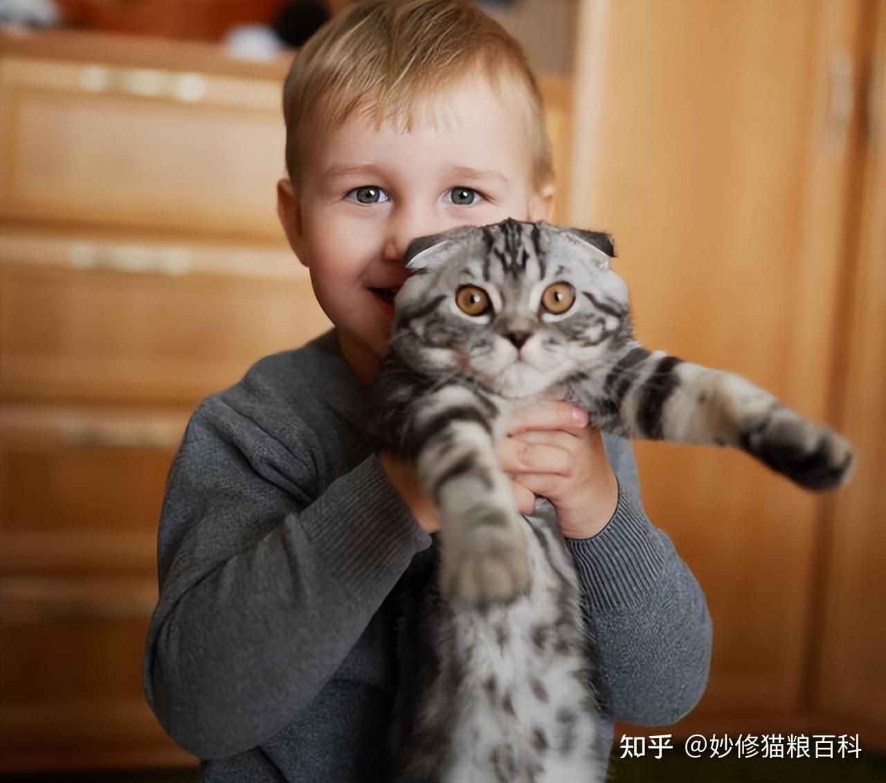 过来人告诉你,这样“抱猫”是不对的,难怪被猫咬 - 知乎