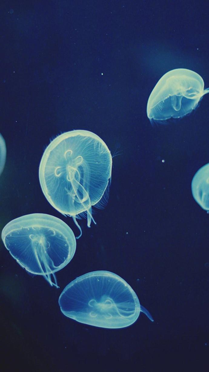 分享一组blue蓝色系壁纸