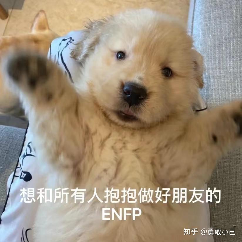 Enfp型人格最适合伴侣 知乎