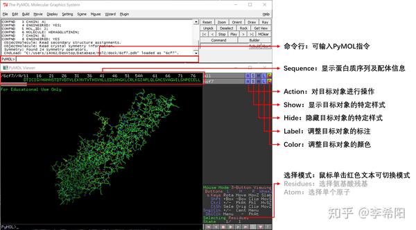 零基础PyMOL作图教程u2014u2014绘制蛋白质-分子结合模式图- 知乎