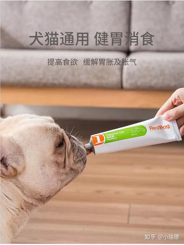 红狗新品上市 消化膏 促进宠物肠胃消化吸收 知乎
