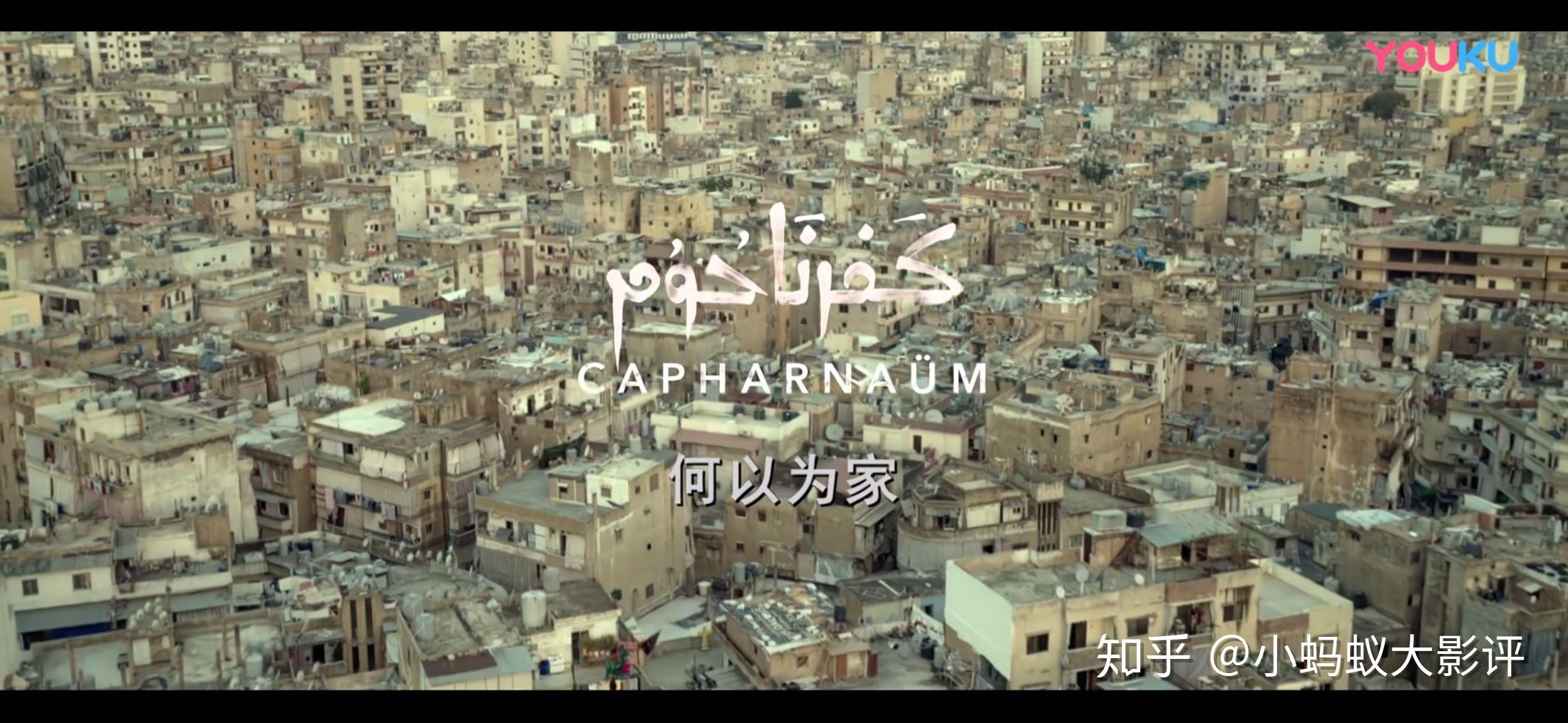 何以为家12岁少年犯起诉亲生父母