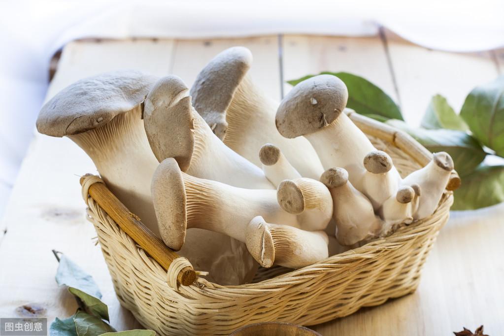 各种蘑菇图片及名称秋吃蘑菇正当季