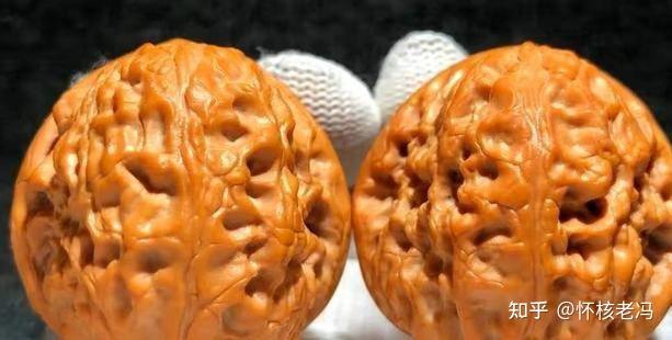 大团圆狮子头 - 知乎