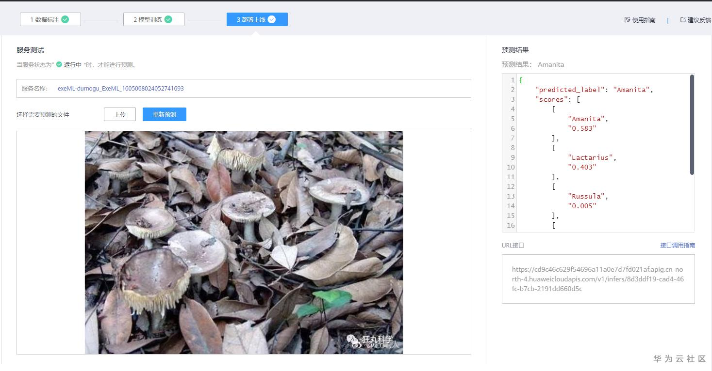 手把手教你使用ModelArts的自动学习识别毒蘑菇分类 手把手教你使用ModelArts的自动学习识别毒蘑菇分类
