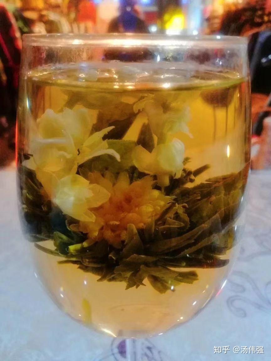 芙蓉茶花美 - 知乎