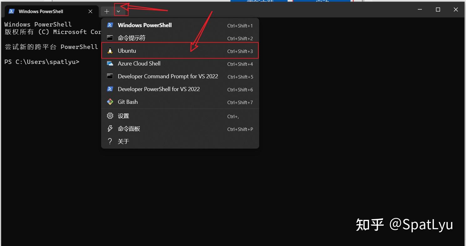 Win10 wsl2 