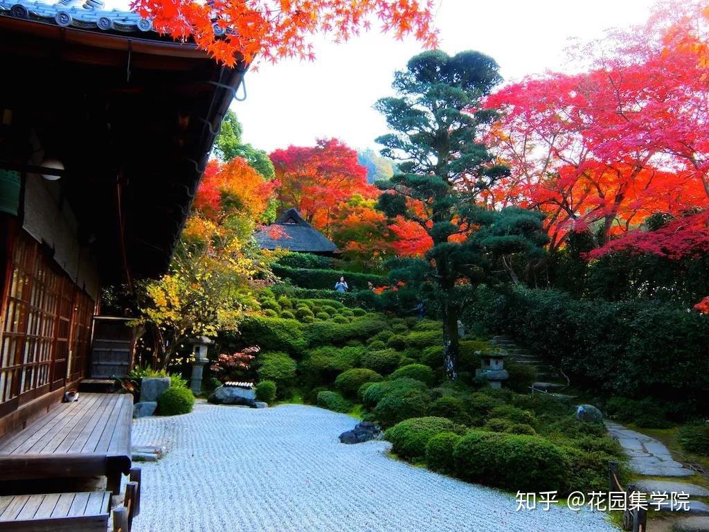 看世界 | 日本20个经典枯山水庭院，带你感受日式庭院经典之美 - 知乎