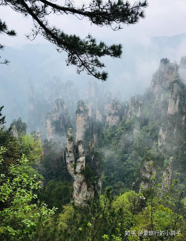 下,也可以从天子阁走卧龙岭下山到十里画廊)游览十里画廊--寿星迎宾