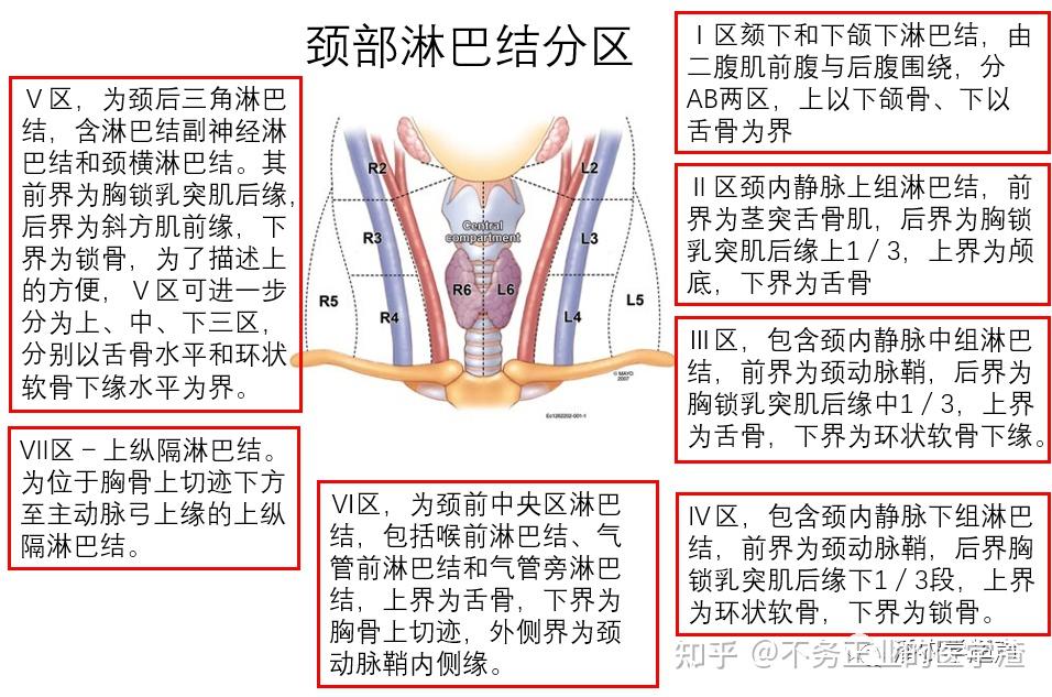 2013颈部淋巴结分区