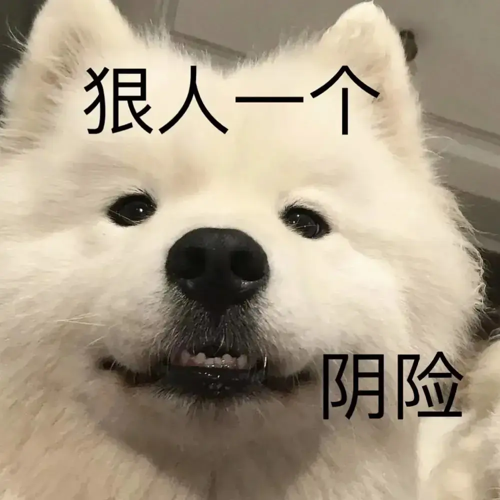 132张配字很厉害的沙雕表情包 - 知乎