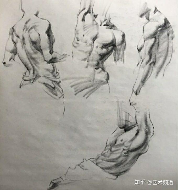 用色块表达的人体肌肉好像更结实奥