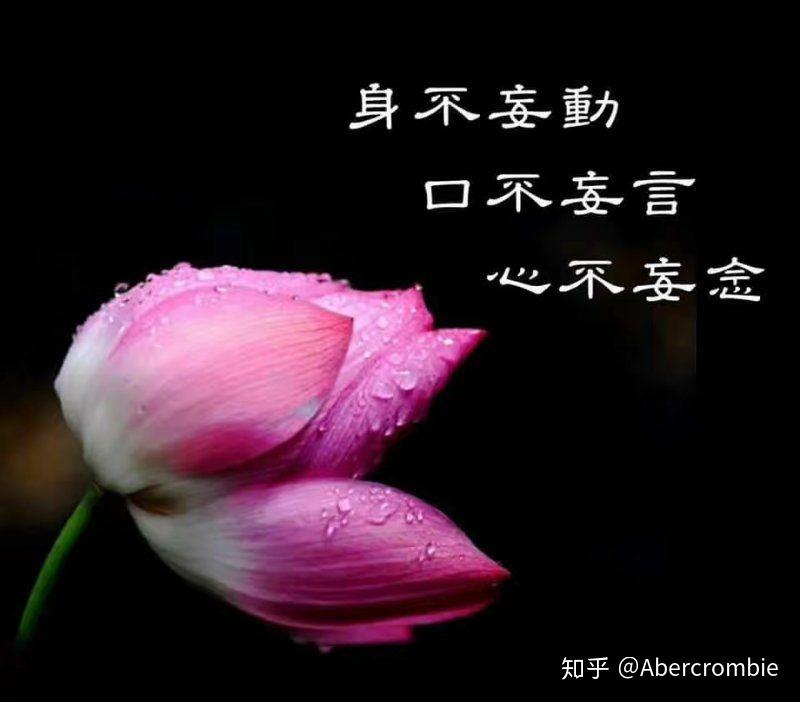戒淫得福 - 知乎
