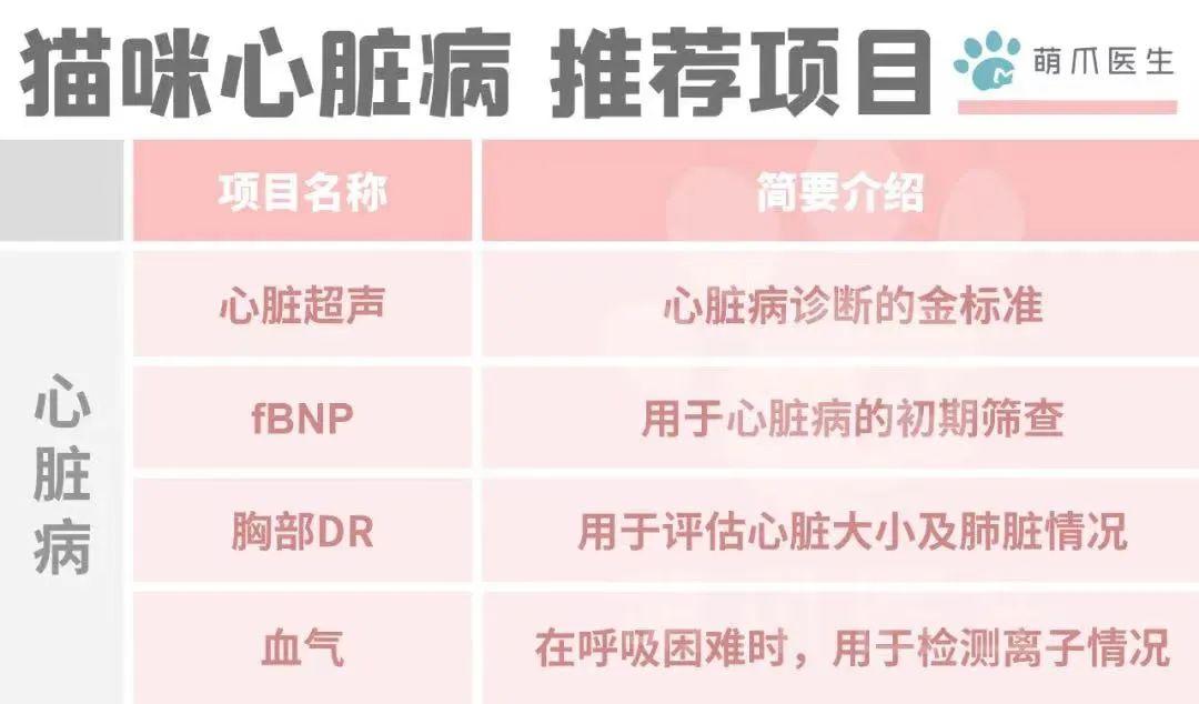 金米粒煎饼机操作说明(金米粒煎饼机操作说明视频)