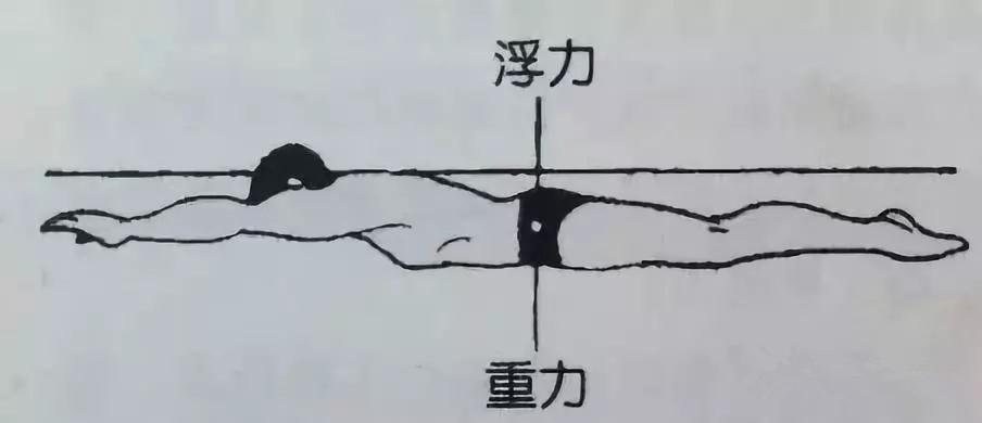 初学游泳漂浮技巧图片