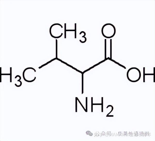 异丁醛结构简式图片