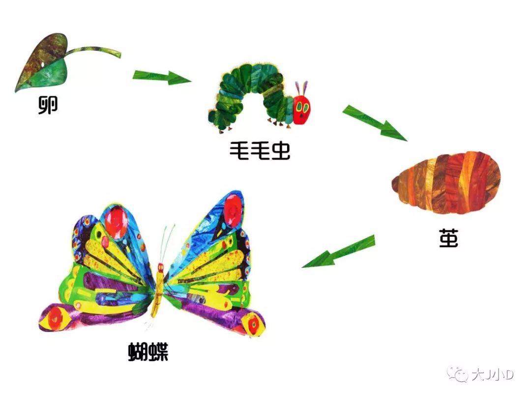 脑科学解释了,孩子反复看一本绘本的原因