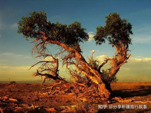 新疆旅游攻略（55）-新疆旅游景区景点-新疆边境县、边境线 - 知乎