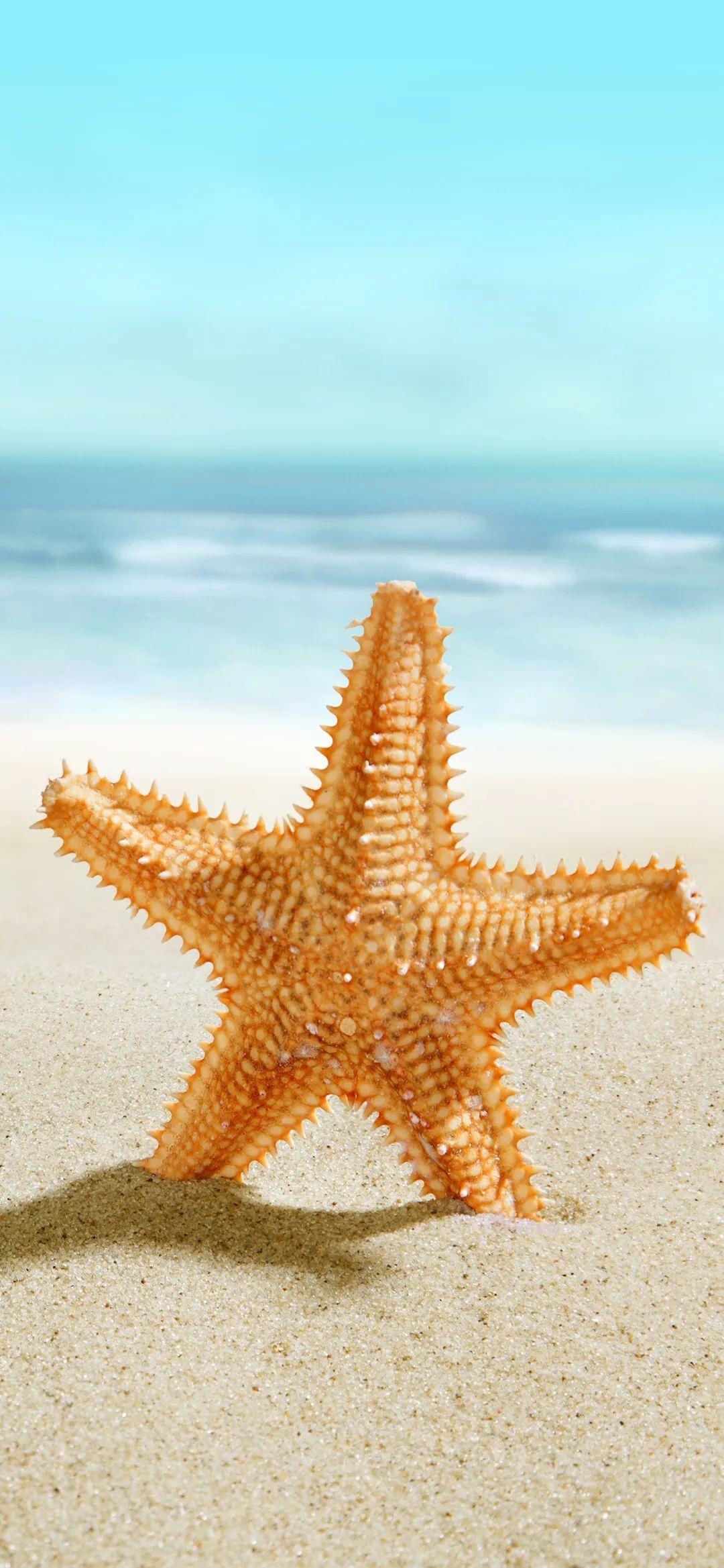 221113期 动漫61海星61宇航员壁纸 - 知乎