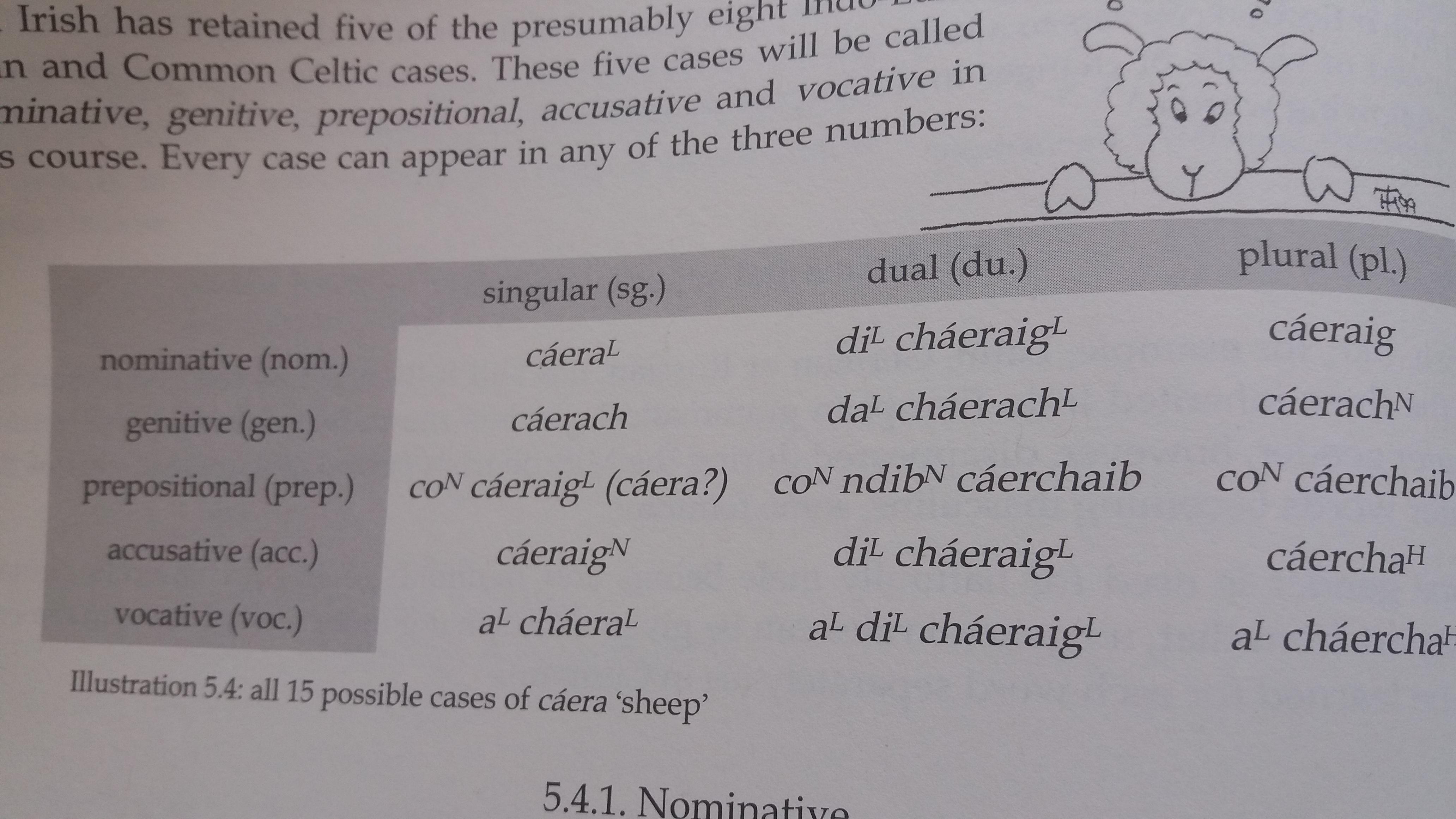 古爱尔兰语的一点介绍