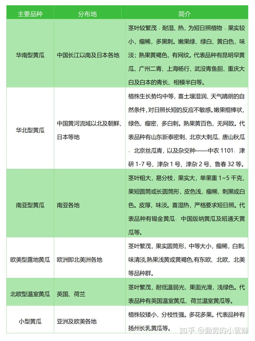 2021年中国黄瓜产业数据分析简报