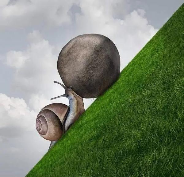 梅花香自苦寒来 知乎