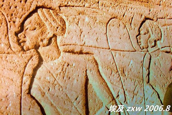 北非男人 埃及 突尼斯 摩洛哥 知乎