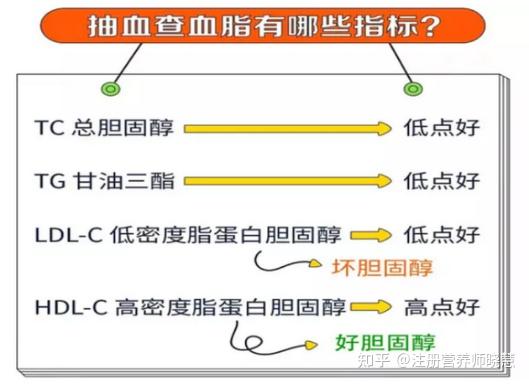 高血脂图片 指标图片