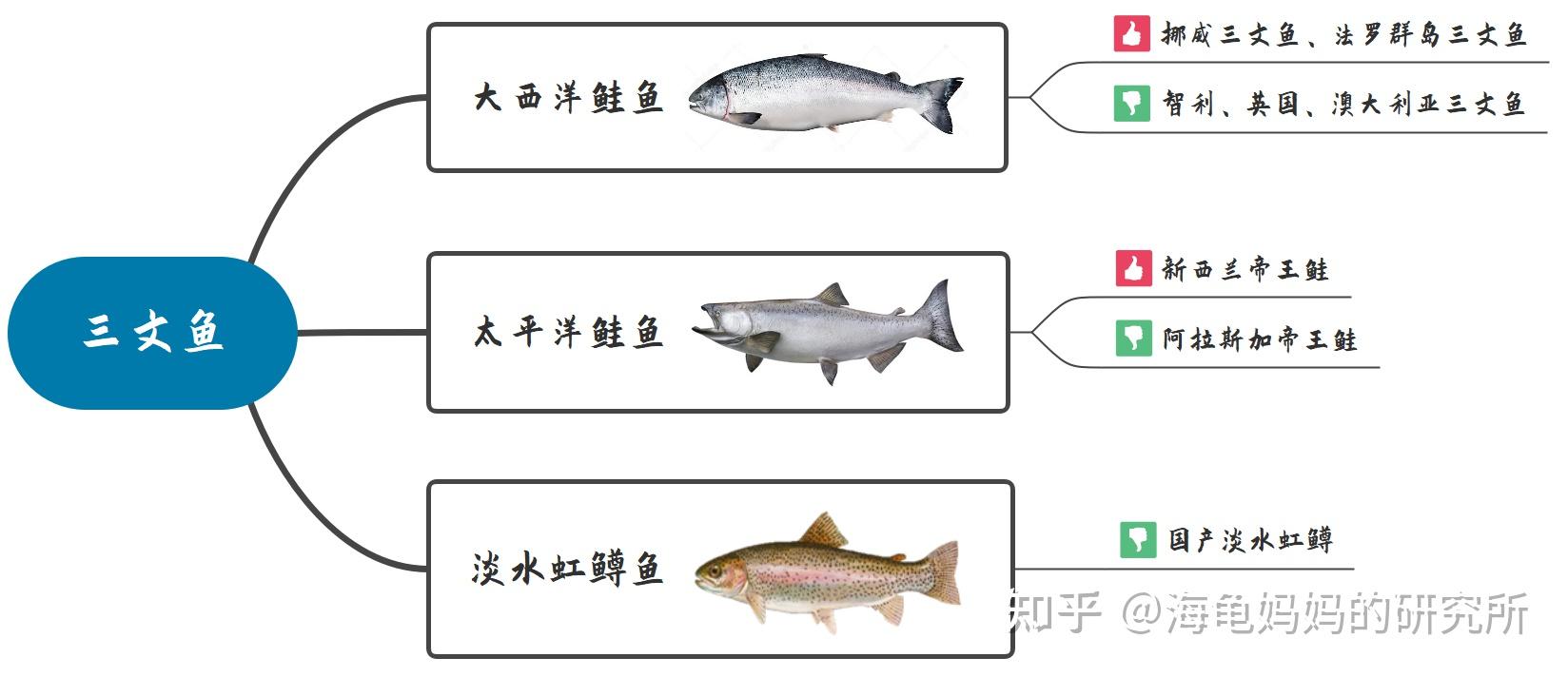 这些三文鱼有抗生素和寄生虫,千万别买给宝宝吃