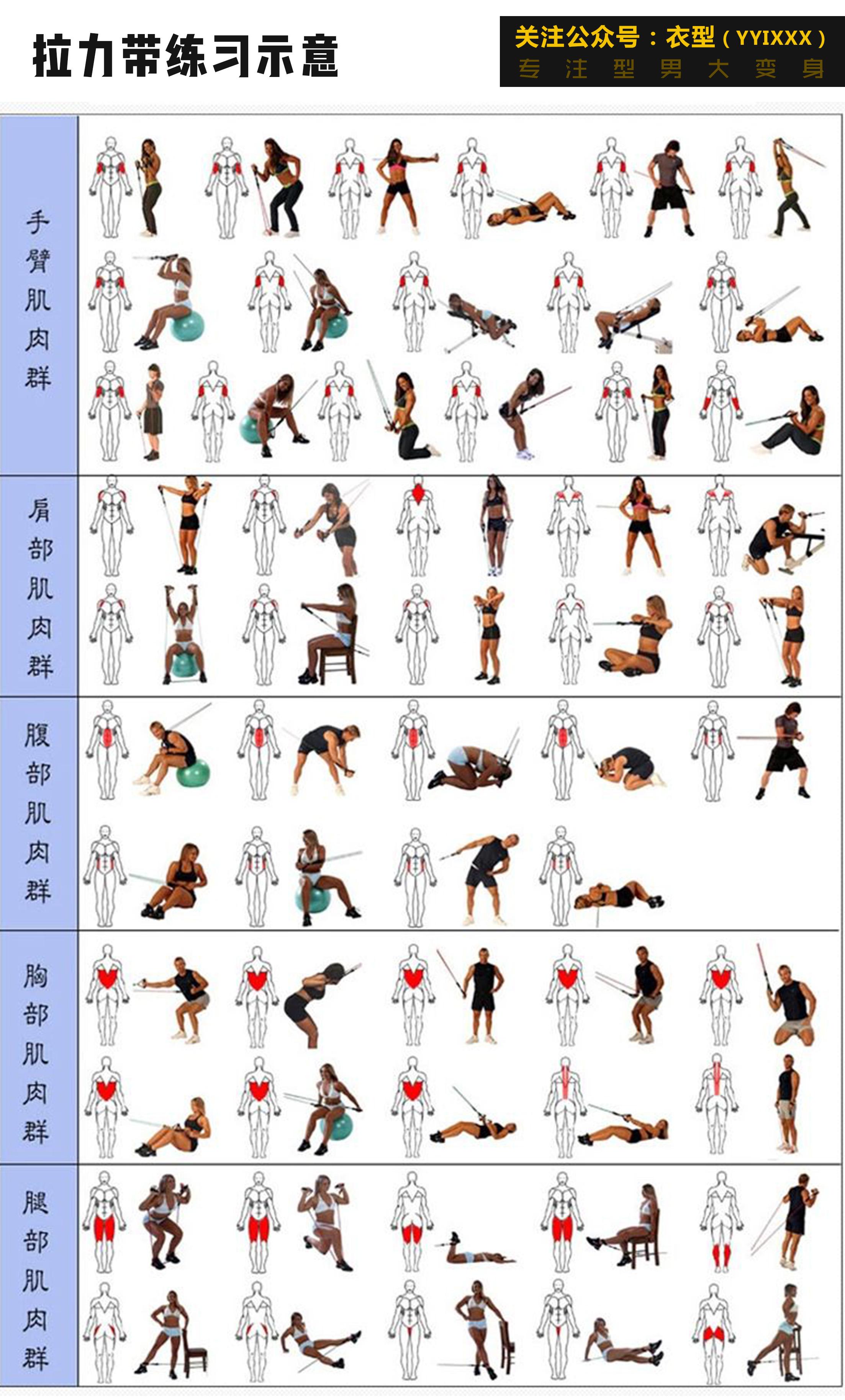 53种健身动作图片