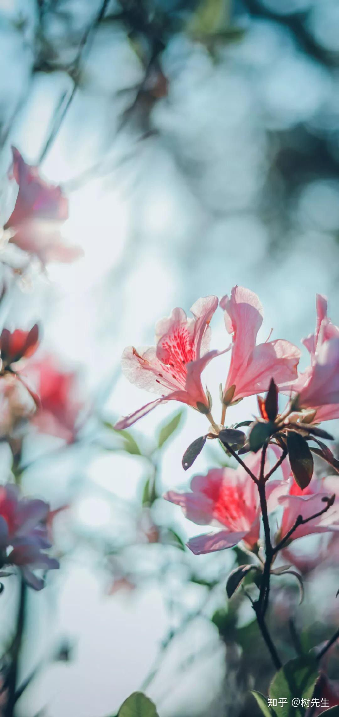 何为真正的自我 v2-07f9a4b9c432b1e91bc9f6fb8d6779fb_r.jpg