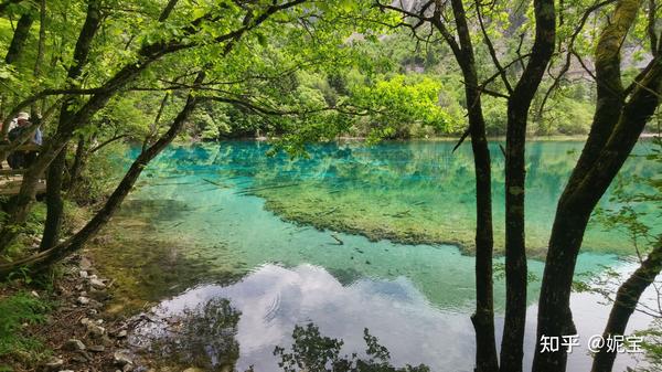 九寨沟旅游攻略及费用多少（九寨沟旅游攻略）-图5